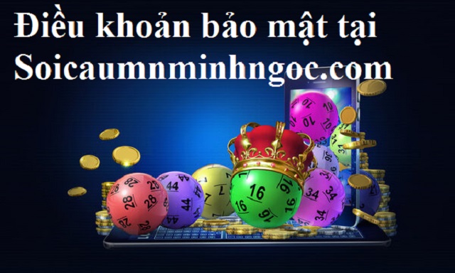 Cập nhật thông tin về điều khoản bảo mật tại Soicaumnminhngoc.com