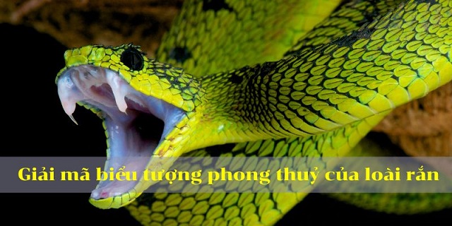 Giải mã biểu tượng phong thuỷ của loài rắn