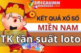 Thống kê tần suất lô xổ số Miền Nam – Xổ số Minh Ngọc