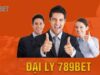 Đại Lý 789Bet – Hợp tác nhận hoa hồng khủng với lợi ích hấp dẫn