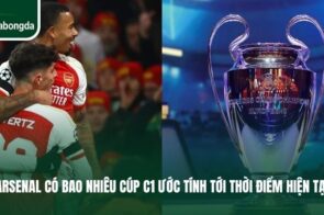 Arsenal Có Bao Nhiêu Cúp C1 Ước Tính Tới Thời Điểm Hiện Tại 
