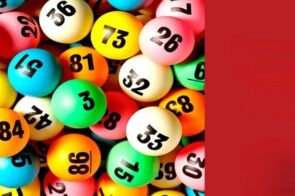 Tất cả những kiến thức về Nuôi lô xiên mà người chơi mới cần biết