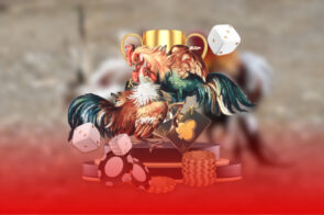 BLV Ad Báo – Tường thuật đá gà Thomo trực tiếp với phong cách chuyên nghiệp