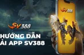 Tải app SV388 theo dõi đá gà mượt nhanh và đặt cược tiện lợi